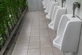 Row of outdoor urinal men public toilet white urinals in men bathroom