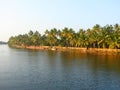 Row of Palm Trees along Backwater Canal in Kerala, India - A Natural Background