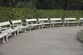 Row of park benches Royalty Free Stock Photo