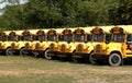 Row of parked school buses Royalty Free Stock Photo