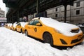 Row of Parked Yellow Taxi Cabs with Snow along a Street in New York City