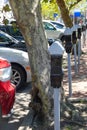 A row of parking meters in front of a row of parked cars Royalty Free Stock Photo