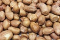 Peanut Royalty Free Stock Photo