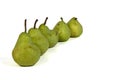 Row of pears Royalty Free Stock Photo
