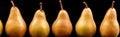 A row of pears with different colors, AI Royalty Free Stock Photo