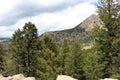 A row of pine trees in the foreground with a peak of the Rocky Mountains partially covered in pine trees in Estes Park, Colorado Royalty Free Stock Photo