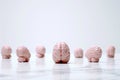 A row of pink brain shaped objects are lined up on a white surface Royalty Free Stock Photo