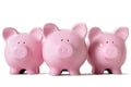 Piggy banks in a row isolated on white background Royalty Free Stock Photo