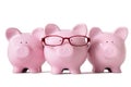 Row of pink piggy banks isolated on white background, savings concept Royalty Free Stock Photo