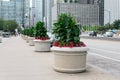 Row of Planters with Flowers and Plants on Randolph Street in Downtown Chicago Royalty Free Stock Photo