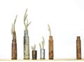 Row of Plants in Close Up Used Rusty Bullet Shell Vases on White Royalty Free Stock Photo