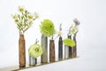 Row of Plants and Flowers in Rusted Bullet Casing Vases on White Royalty Free Stock Photo