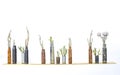 Row of Plants in Used Rusty Bullet Shell Casings on White Background