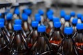 Row of plastic beer bottles with blue caps close up.