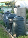 A row of plastic compost bins on a typical allotment