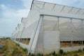 A row of plastic covered bow house tents for raspberry production Royalty Free Stock Photo