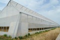 A row of plastic covered bow house tents for raspberry production Royalty Free Stock Photo