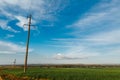 A row of poles of a power line in a field near a dirt road under a clear sky Royalty Free Stock Photo