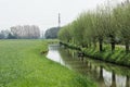 Row of Pollard Willows and stream with fisher