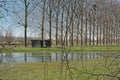 Row of poplars and shed along a flooded meadow in the Flemish countryside Royalty Free Stock Photo