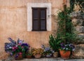 Row of pots with colored flowers on a stone wall with shuttered window background.