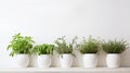 a row of potted herbs including basil, rosemary, thyme, oregano, and mint on a wooden shelf against a white background