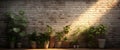 Row of potted plants in front of brick wall