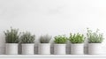 a row of potted plants on a white shelf against a white wall