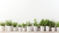 a row of potted plants on a wooden floor against a white wall