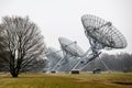 A row of radio telescope dishes Royalty Free Stock Photo