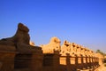 Row of ram statues at Karnak Temple in Luxor, Egypt Royalty Free Stock Photo