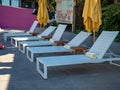 A row of recliner outdoor pool chairs sitting at an outdoor resort