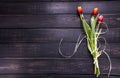 Row of red bouquet of tulips on rustic wooden background with co Royalty Free Stock Photo