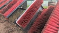 A row of red football boot mud scraper brushes