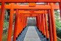 Torii Gates in Suwa Shinto Shrine in Nagasaki, Japan.