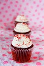 Row of red velvet cupcakes Royalty Free Stock Photo