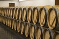 Row of red wine barrels in winery Royalty Free Stock Photo