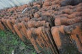 Row of the remaining Traditional Vintage tiles