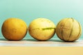 A row of ripe melons of different varieties Royalty Free Stock Photo