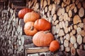 Row of ripe orange pumpkins stacked on a fire wood log wall
