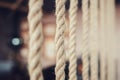 A row of rough ropes Royalty Free Stock Photo