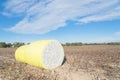 Close-up cotton bales on harvested field in Texas, USA Royalty Free Stock Photo