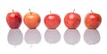 Row Of Royal Gala Apple I Royalty Free Stock Photo