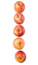 Row Of Royal Gala Apple IX Royalty Free Stock Photo