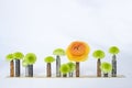 Row of Chrysanthemums and Single Orange Ranunculus in Bullet Casing Shell Vases on White Background Royalty Free Stock Photo