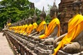 Row of Sacred Buddha Royalty Free Stock Photo
