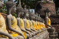 Row of Sacred Buddha in Ayutthaya Royalty Free Stock Photo
