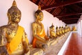 Row of Sacred Buddha images
