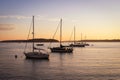 Row of sailboats at sunrise in a harbor in Maine