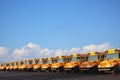 Row of School Buses Royalty Free Stock Photo
